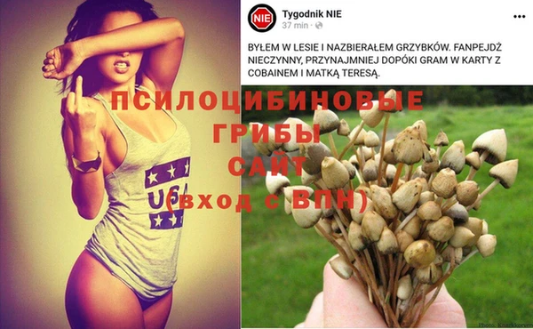 амф Белоозёрский